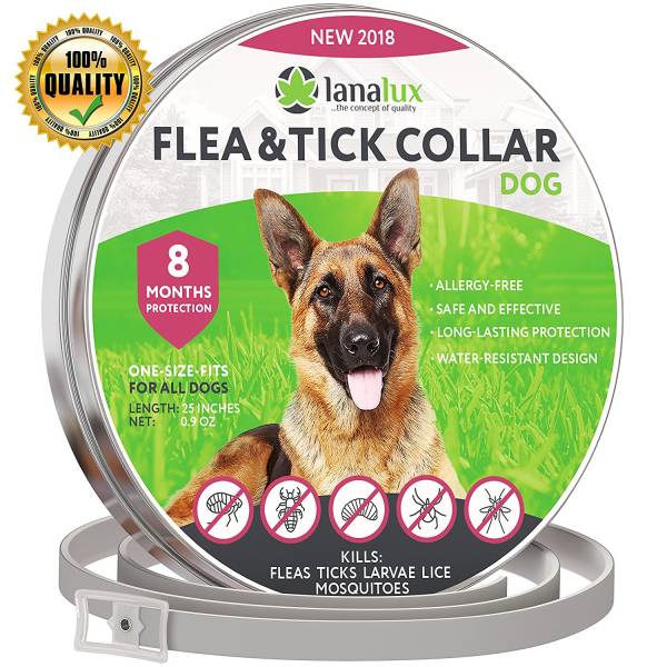 Best Dog Flea Collar 2018 Buyer's Guide & Reviews