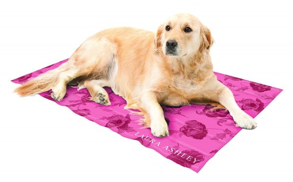 laura ashley dog cushion